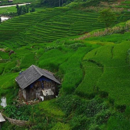 Freedom Homestay & Trekking Sapa Dış mekan fotoğraf