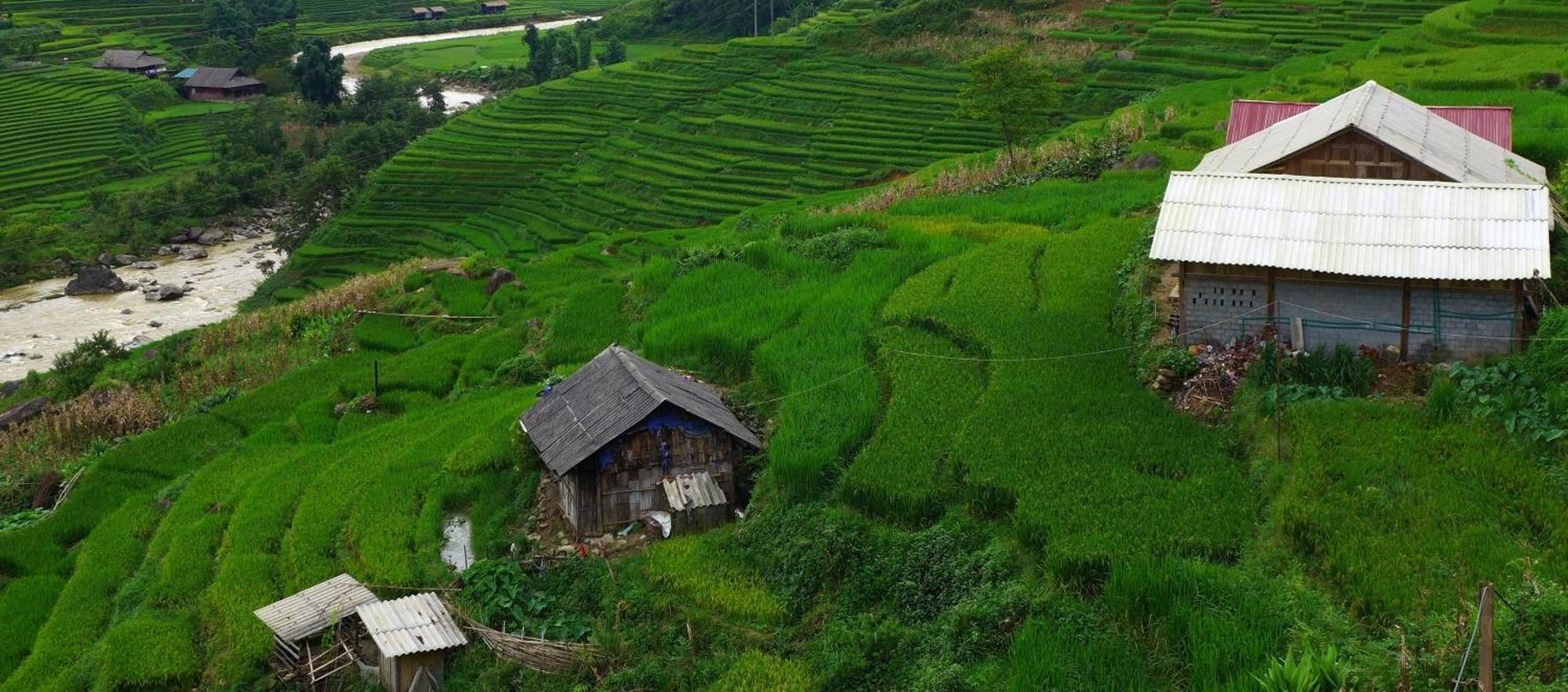 Freedom Homestay & Trekking Sapa Dış mekan fotoğraf