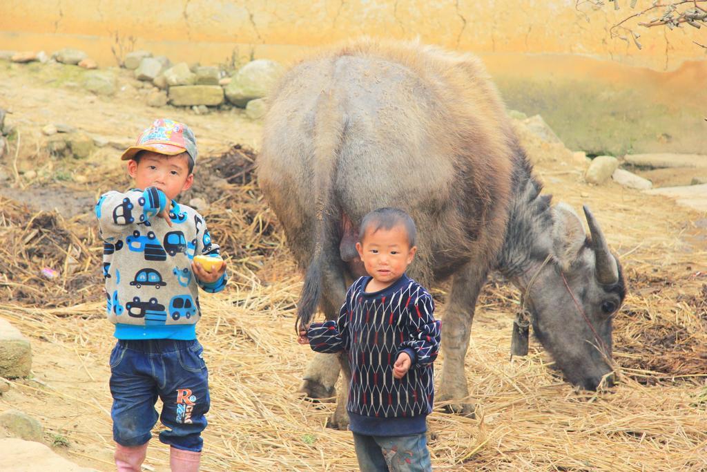 Freedom Homestay & Trekking Sapa Dış mekan fotoğraf