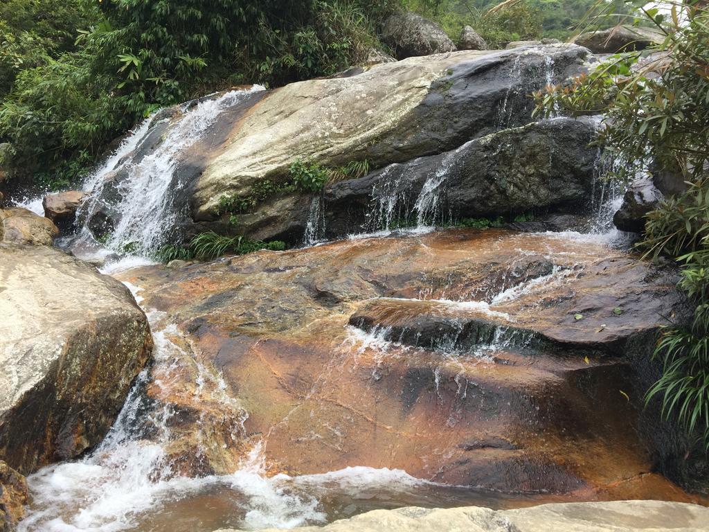 Freedom Homestay & Trekking Sapa Dış mekan fotoğraf