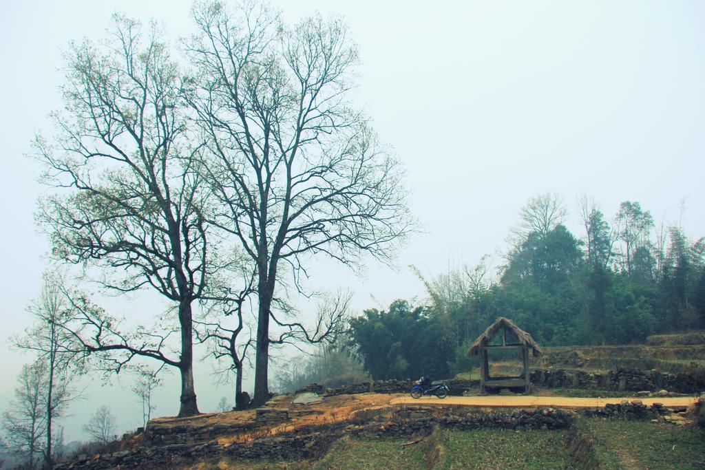 Freedom Homestay & Trekking Sapa Dış mekan fotoğraf