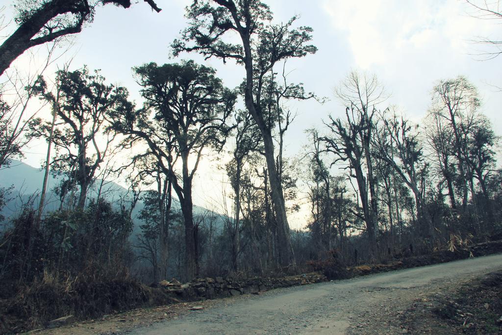 Freedom Homestay & Trekking Sapa Dış mekan fotoğraf