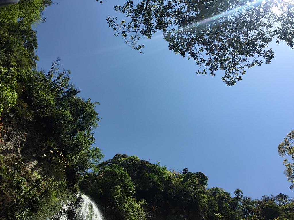 Freedom Homestay & Trekking Sapa Dış mekan fotoğraf