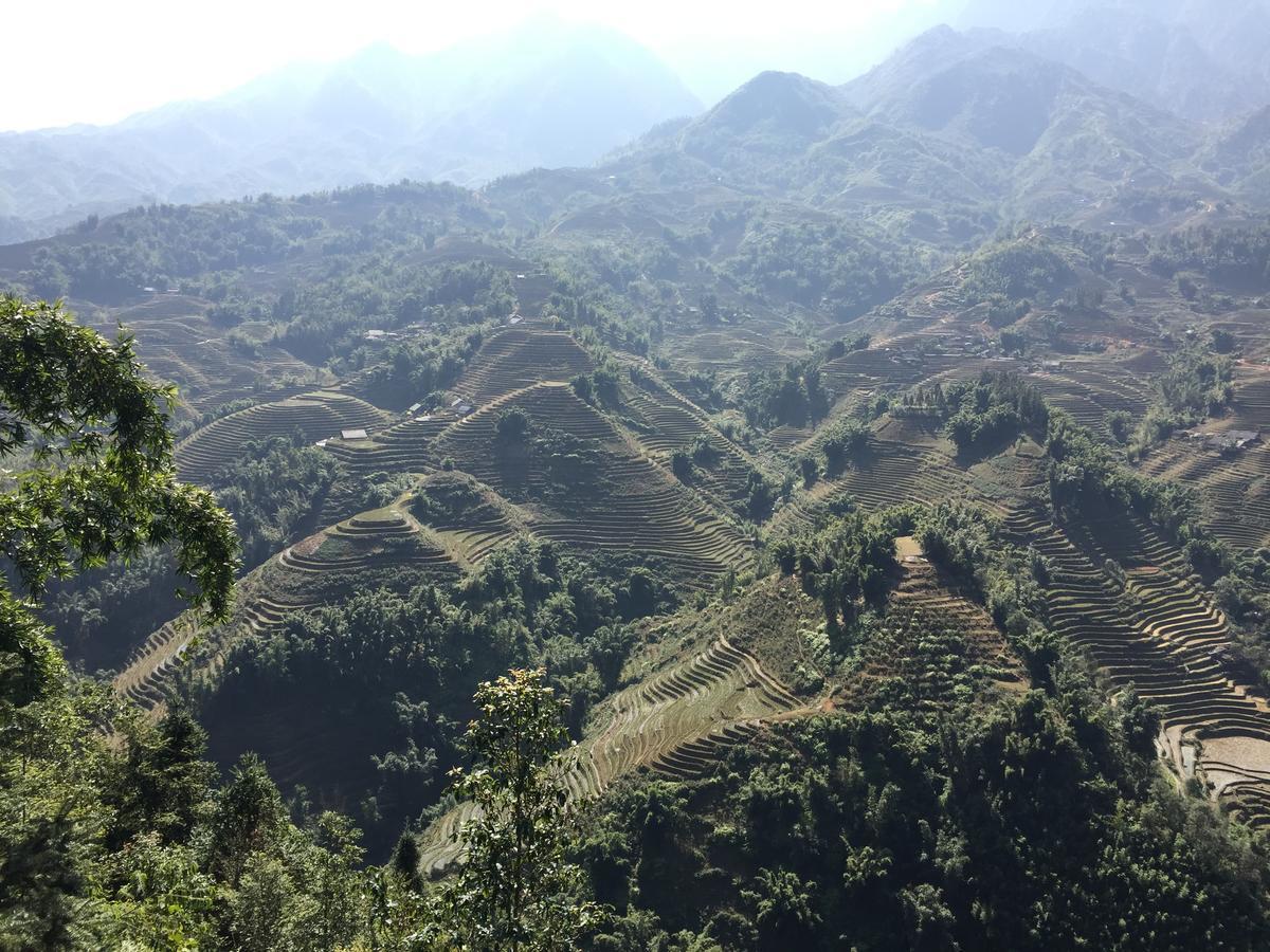 Freedom Homestay & Trekking Sapa Dış mekan fotoğraf