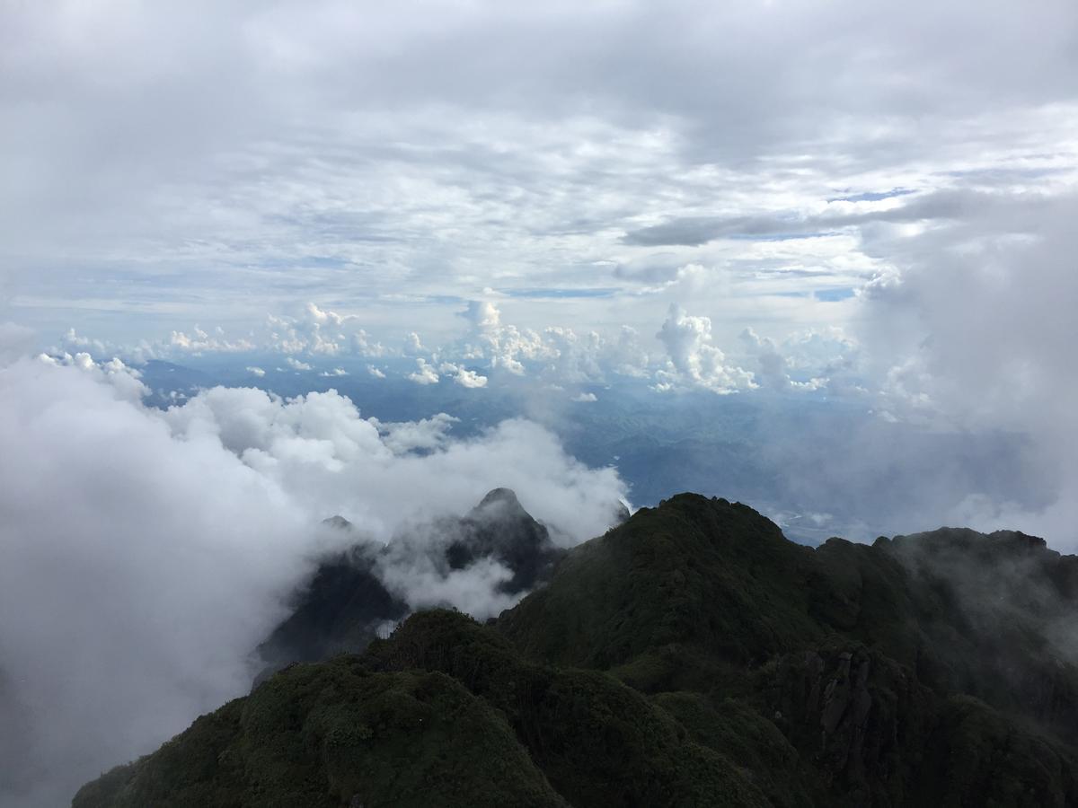 Freedom Homestay & Trekking Sapa Dış mekan fotoğraf